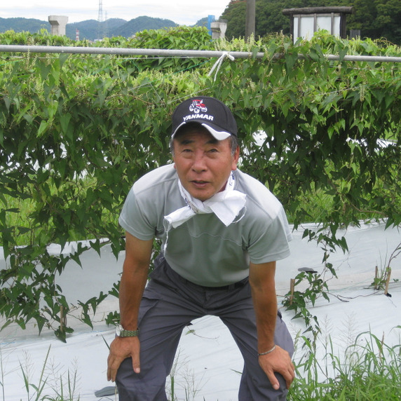 いなば山彩の郷