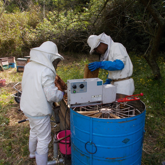 梅田養蜂場