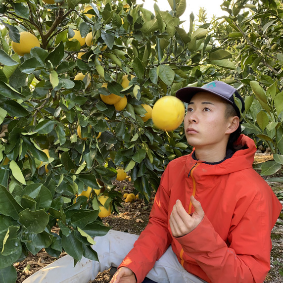 🍊しげのみかん🍊