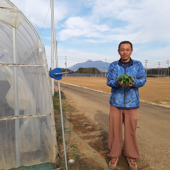 飯田ファーム