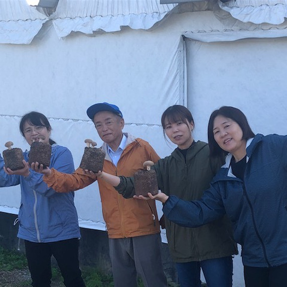 さぬきのこ