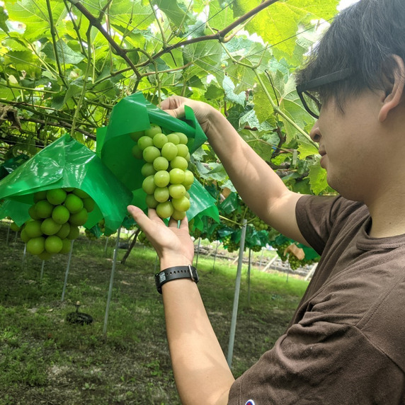 名執農園
