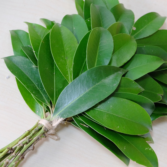 珠榊加賀一屋
