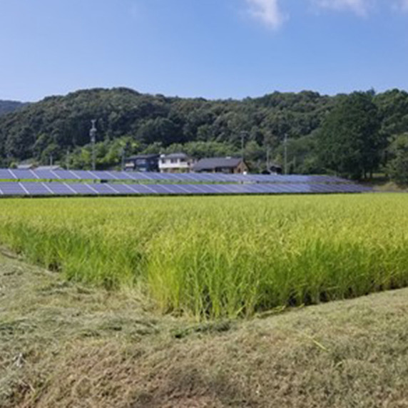 あいち産チョク倶楽部