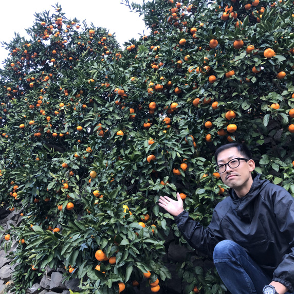 鳴川　農園