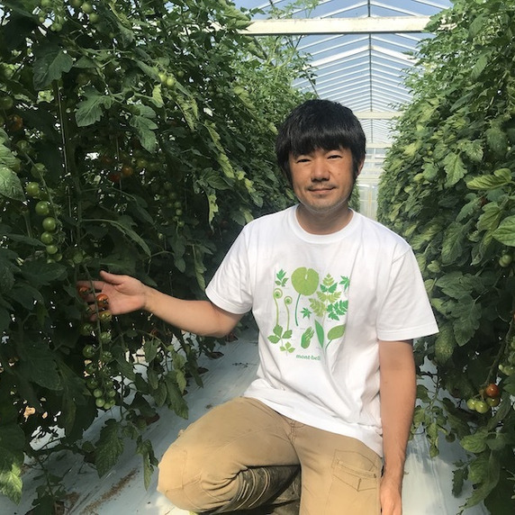 はるひ畑