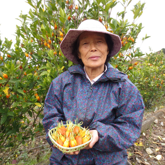 松延農林