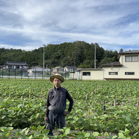 丹波篠山　山の芋畑