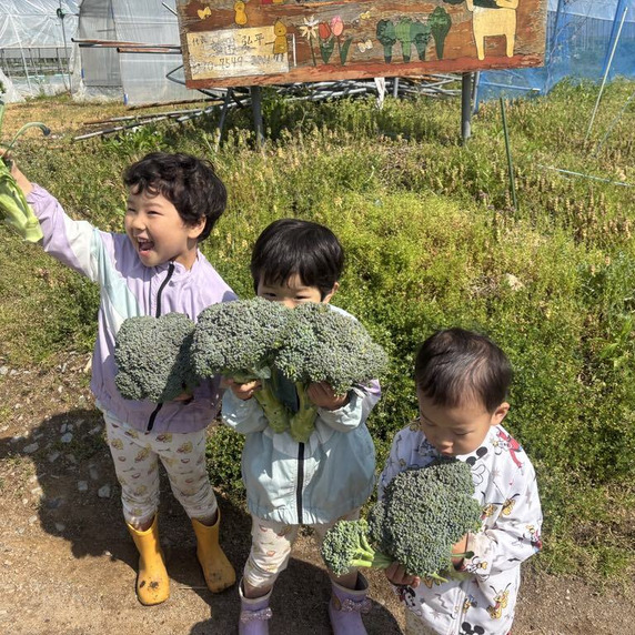 弘法菜園