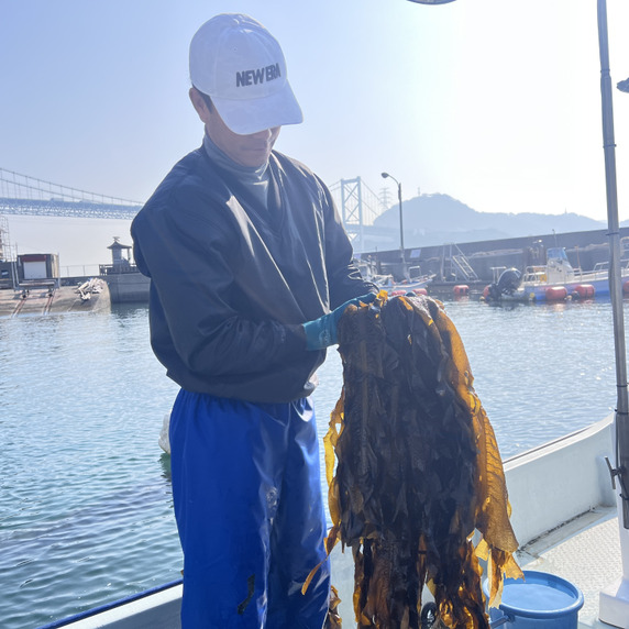 Octo水産加工