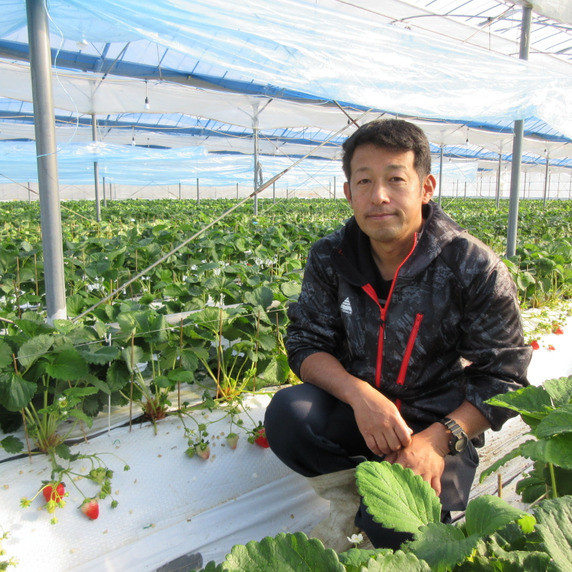 ayuberry farm