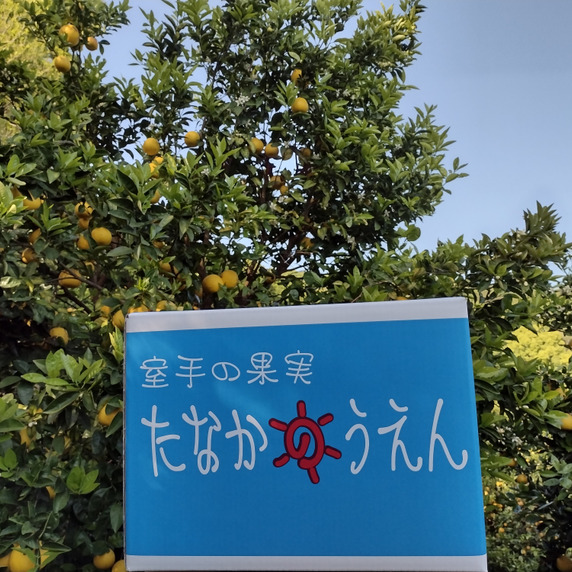 たなかのうえん　らぼ
