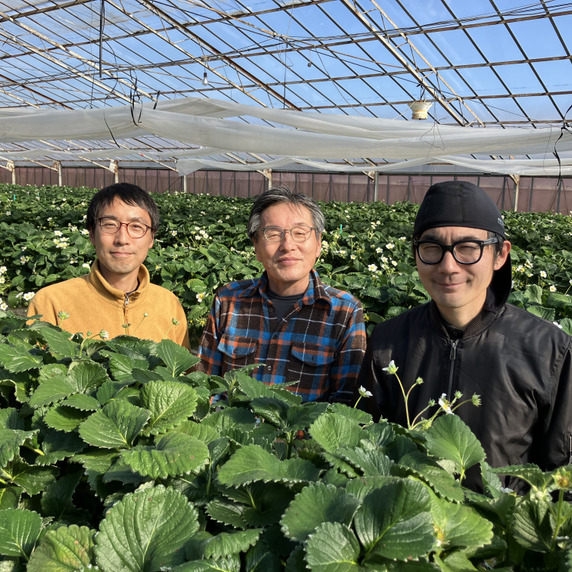 シックスベリーファーマーズ 松田農園