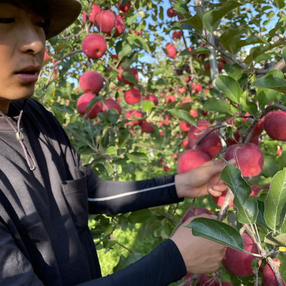 小山内農園