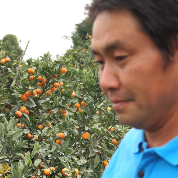岸田果樹園