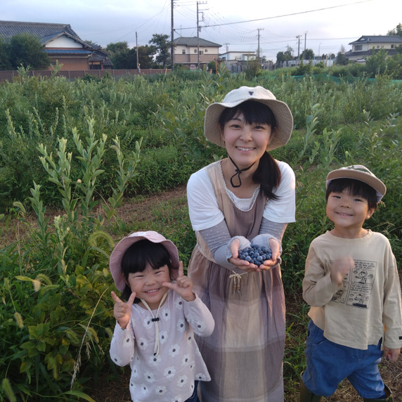 数藤農園