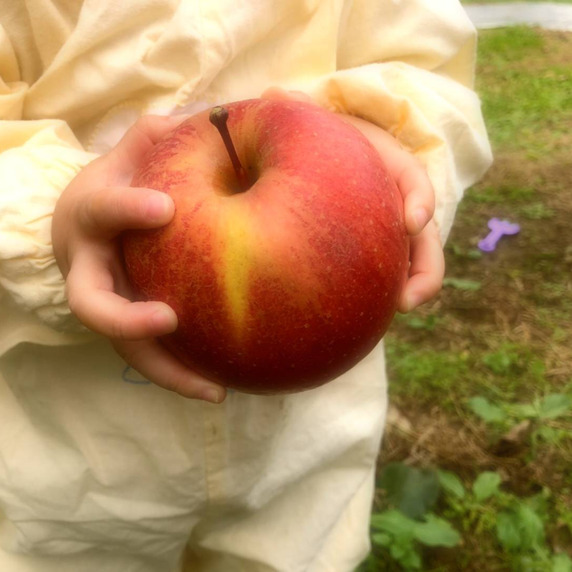 りんごのおうち