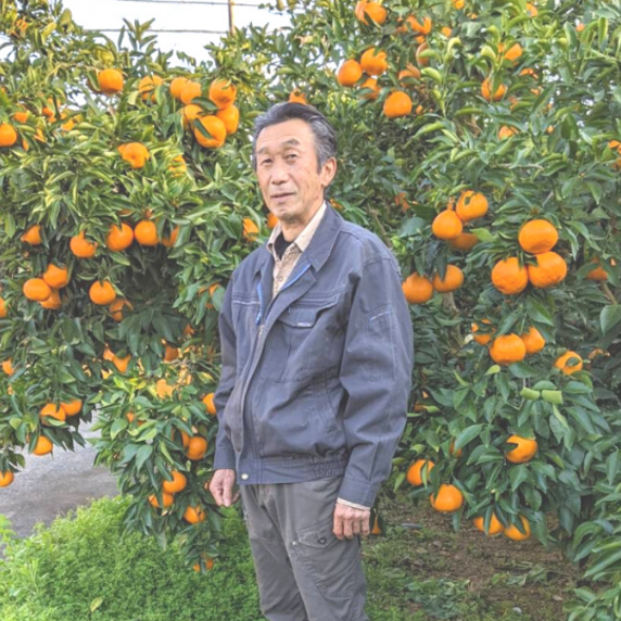 すべての生産者|154ページ目|食べチョク|産地直送(産直)お すべての生産者|154ページ目|食べチョク|産地直送(産直)お