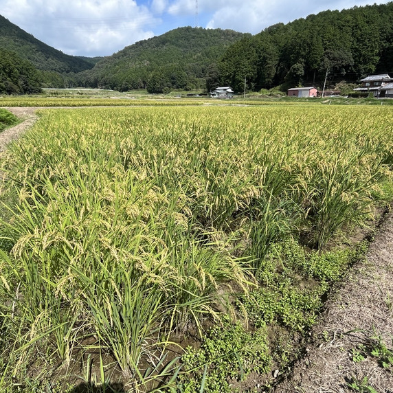 丹波米伝承者 庄司