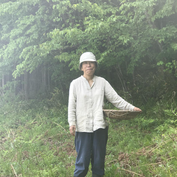 てつちたと