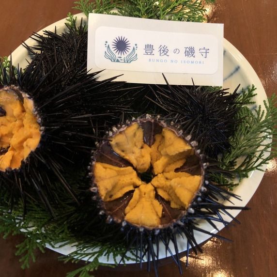 大分うにファーム