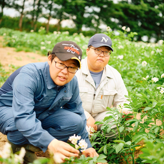 専用商品　チョク様 たつのベジへのレビュー・商品：長野県｜食べチョク｜産地直送