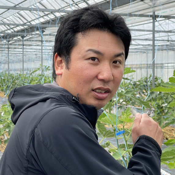 専用商品　チョク様 スティッキオ フェンネル250g10本〜20本：茨城県産の野菜｜食べ
