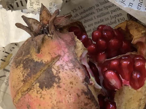 【希少‼数量限定】国産ザクロ　約250ｇ　※早い者勝ちです。