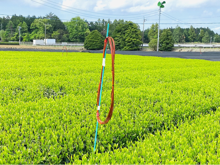 新たな害虫駆除対策に取り組んでいます!