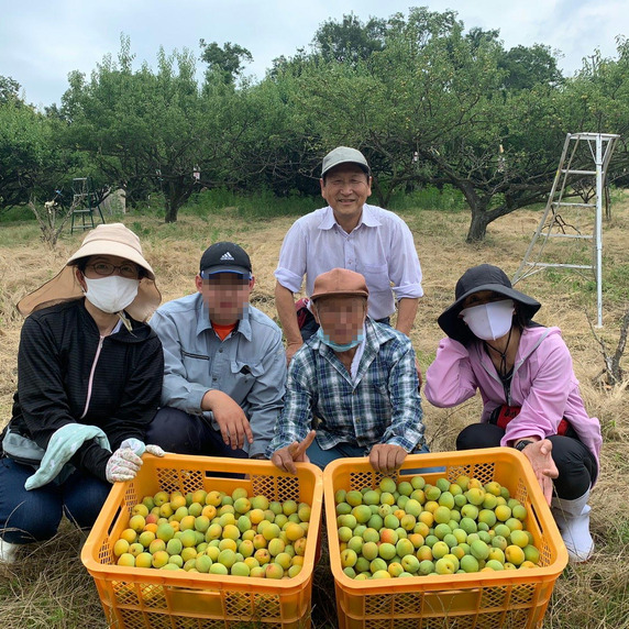 青谷梅工房