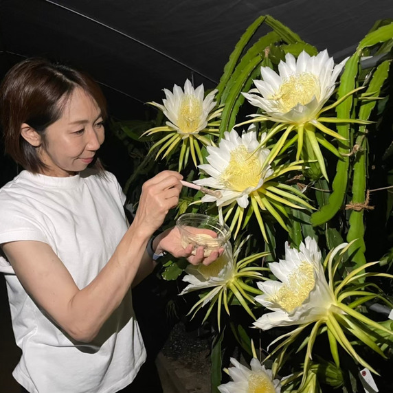 nanan farm