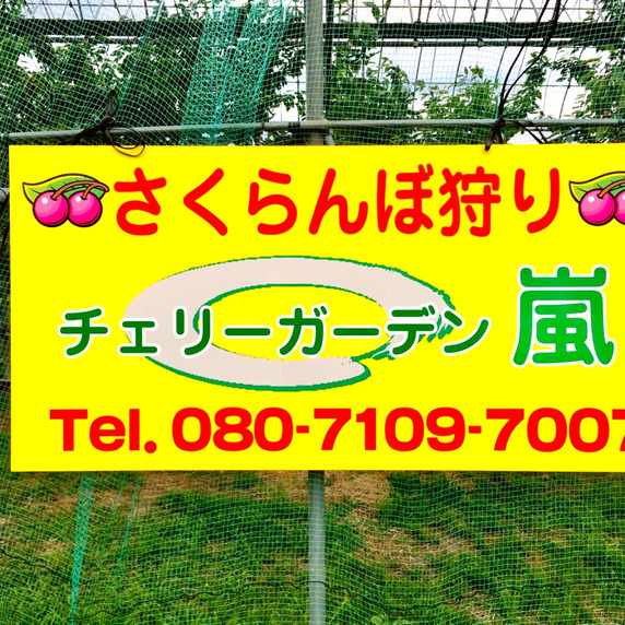 チェリーガーデン嵐