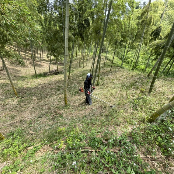 たかおタケノコ園
