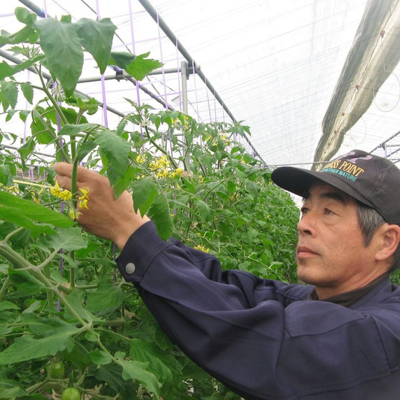 森田農園
