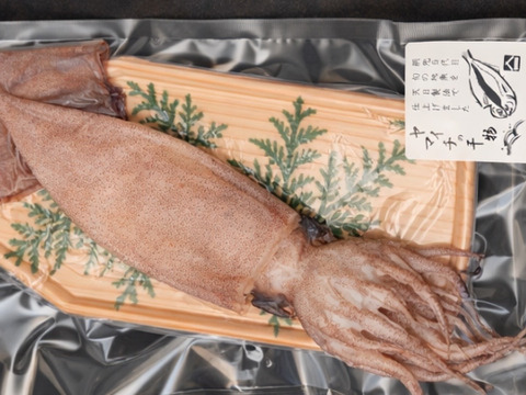 肝が旨い！真イカごろ干し(丸干し)大中サイズ