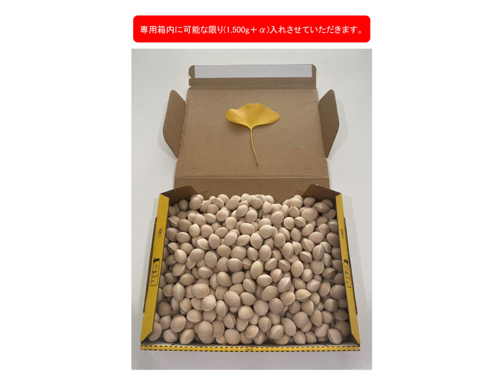 生産者のこだわり