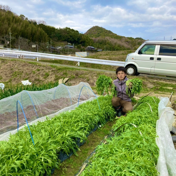 きたのファーム