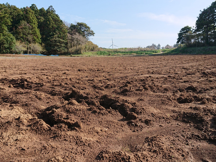 自分だったら・・・