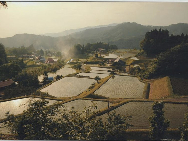源流仁多米杵付きもち 30個：島根県産の米・穀類｜食べチョク｜産地直送(産直)お取り寄せ通販 - 農家・漁師から旬の食材を直送