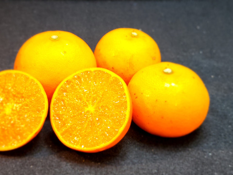 箱込約5㌔　せとか