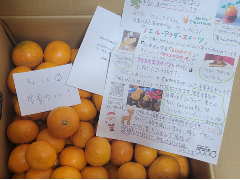 有田みかん【小粒小玉】5kg（箱込）