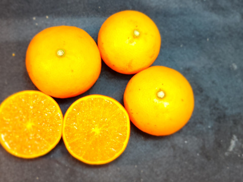 箱込約5㌔　せとか