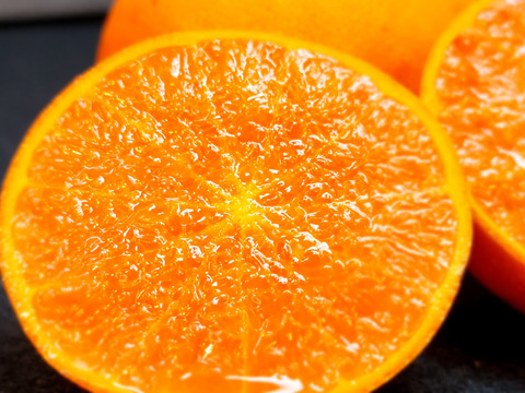 箱込約5㌔　せとか