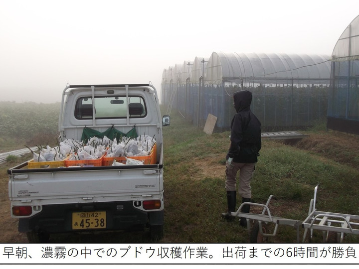 生産者のこだわり