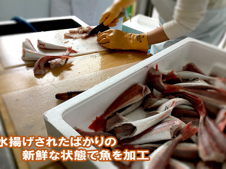訳ありの訳は地味だから もう未利用魚なんで言わせない 地魚干物セット5p 1キロ 新潟県産 食べチョク 農家 漁師の産直ネット通販 旬の食材を生産者直送 訳ありの訳は地味だから もう未利用魚なんで言わせない 地魚干物セット5p 1キロ 新潟県産 食べチョク 農家 漁師の産直ネット通販 旬の食材を生産者直送