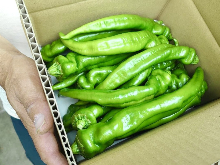 生産者のこだわり