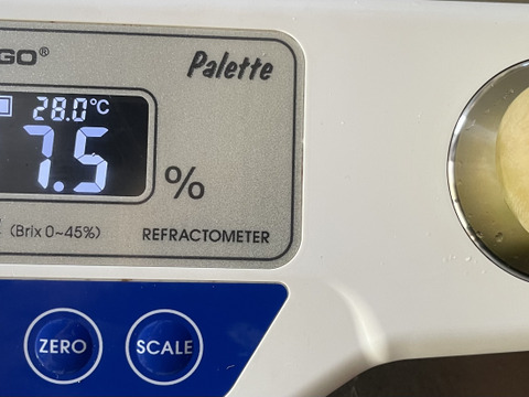 ク1️⃣💥タイムセール【クイーンニーナ】2kg化粧箱（3～6カット房入）加工用