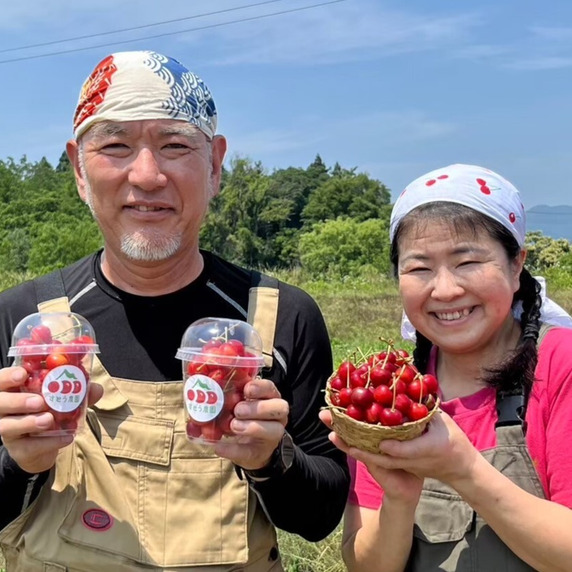 すべての生産者｜9ページ目｜食べチョク｜産地直送(産直)お