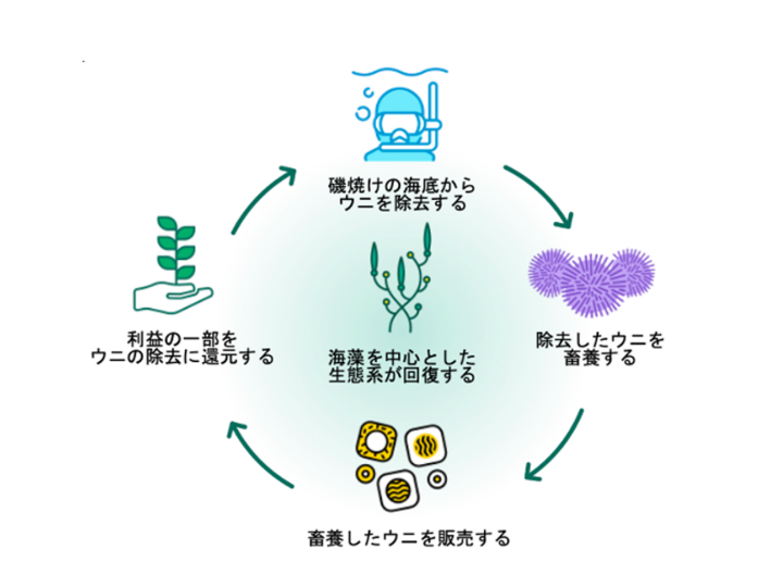 環境も、地域も、人も幸せにする波及効果