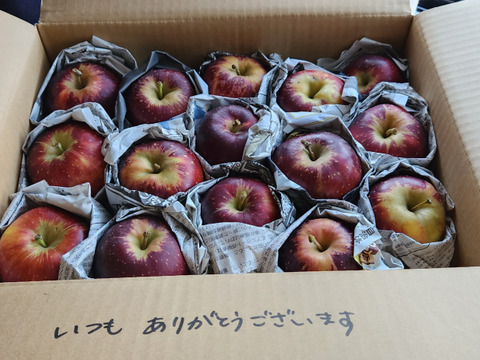 秋映　ミニ小玉ちゃん約１６玉（2.5㎏）
真紅色が異彩を放つ、信州生まれのりんご
ミニサイズのかわいいりんごをバラづめでお届け
丸かじりでどうぞ　信州長野県産
